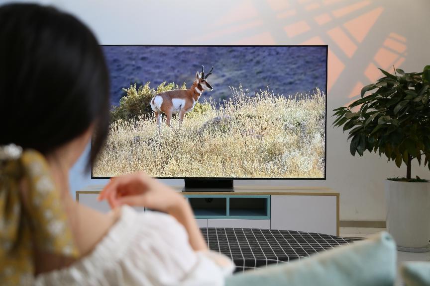 传统电视品牌有多坑？小米揭开多少行业遮羞布，但这两家还真不是