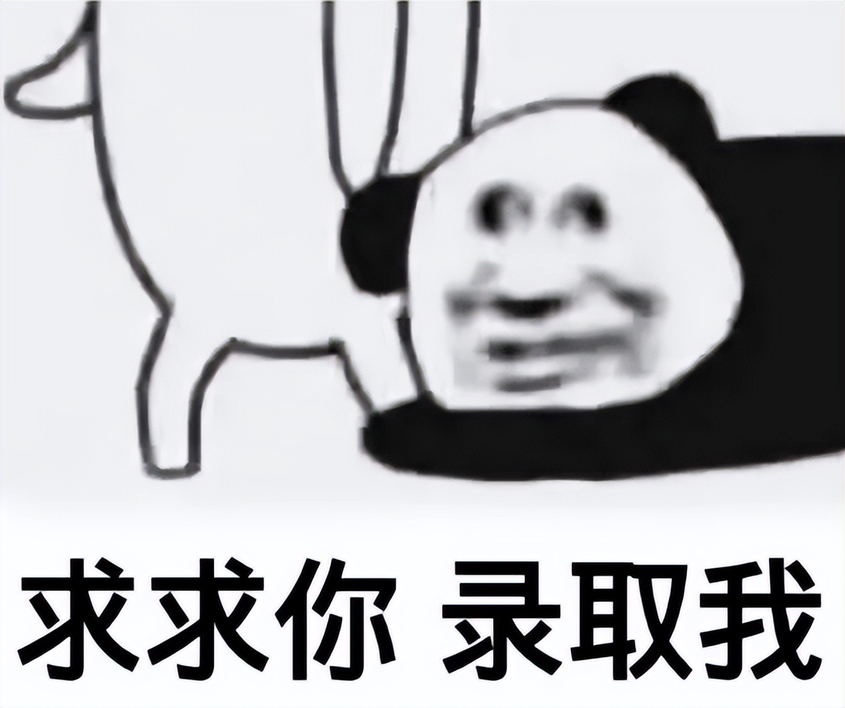 官方“保录取”！满足条件UC系、杜兰、UT-Austin也能100%录取！