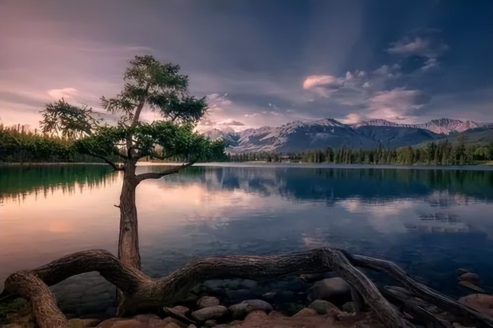 三分天下有其一有什么意思,三分天下有其一说的是谁