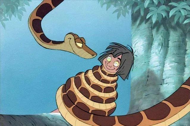 眼镜王蛇有多可怕,为什么眼镜王蛇敢攻击人