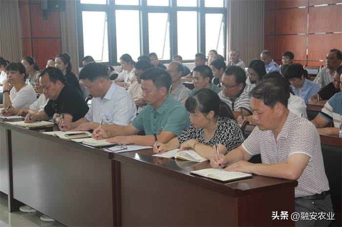 清廉乡村助推乡村振兴,清廉乡村党建引领