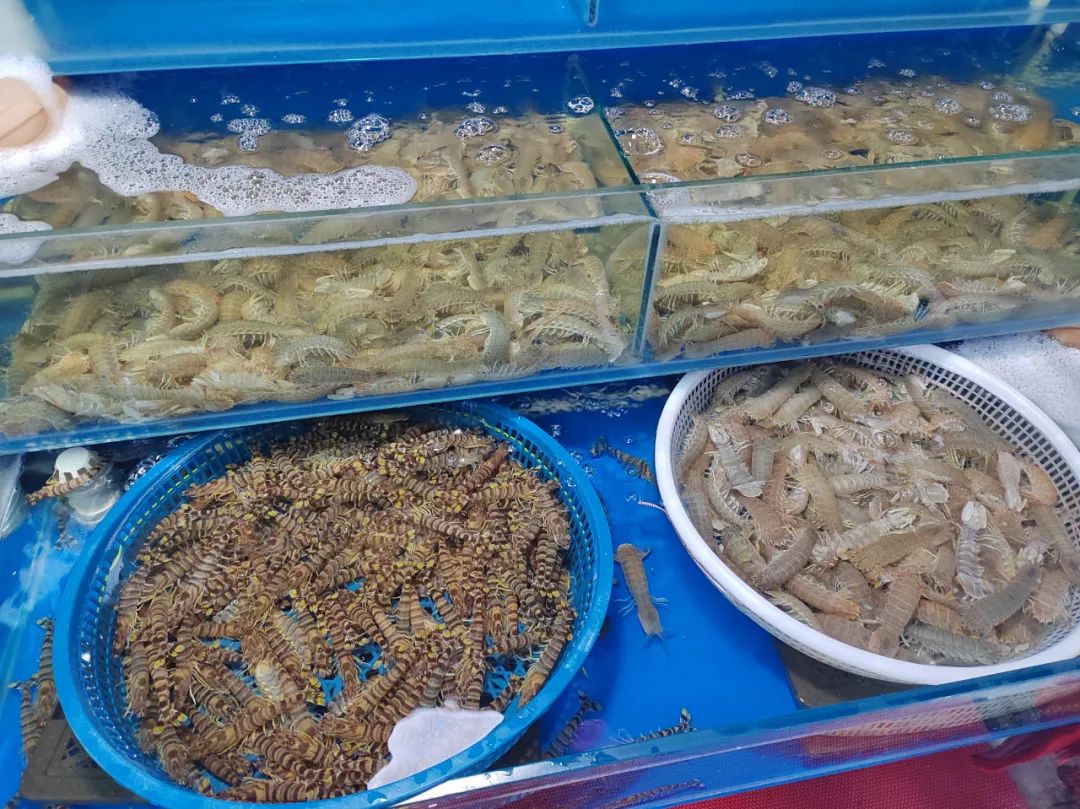 生猛海鲜市场,昌平北七家海鲜批发市场