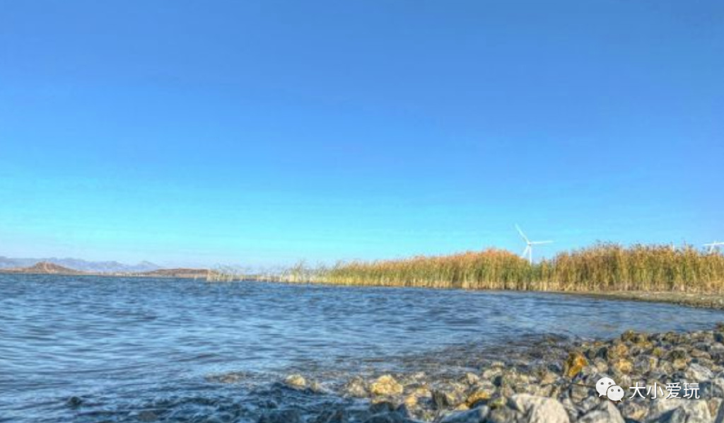 带孩子玩水自驾游去哪里合适,亲子玩水攻略自驾游