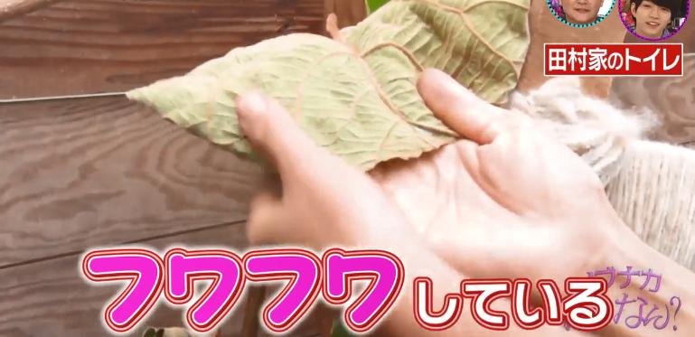 鏃ユ湰绗竴鐪侀挶,鏃ユ湰鏂按鏂數