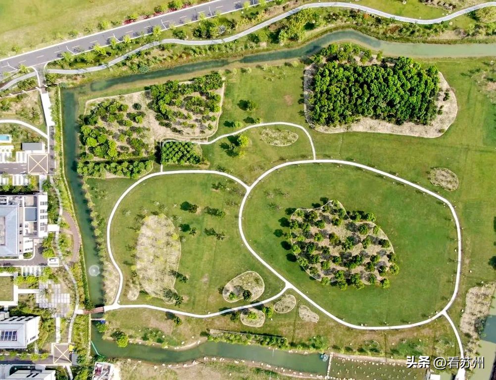 江苏地表水质优良率,太仓市规划环境影响评价