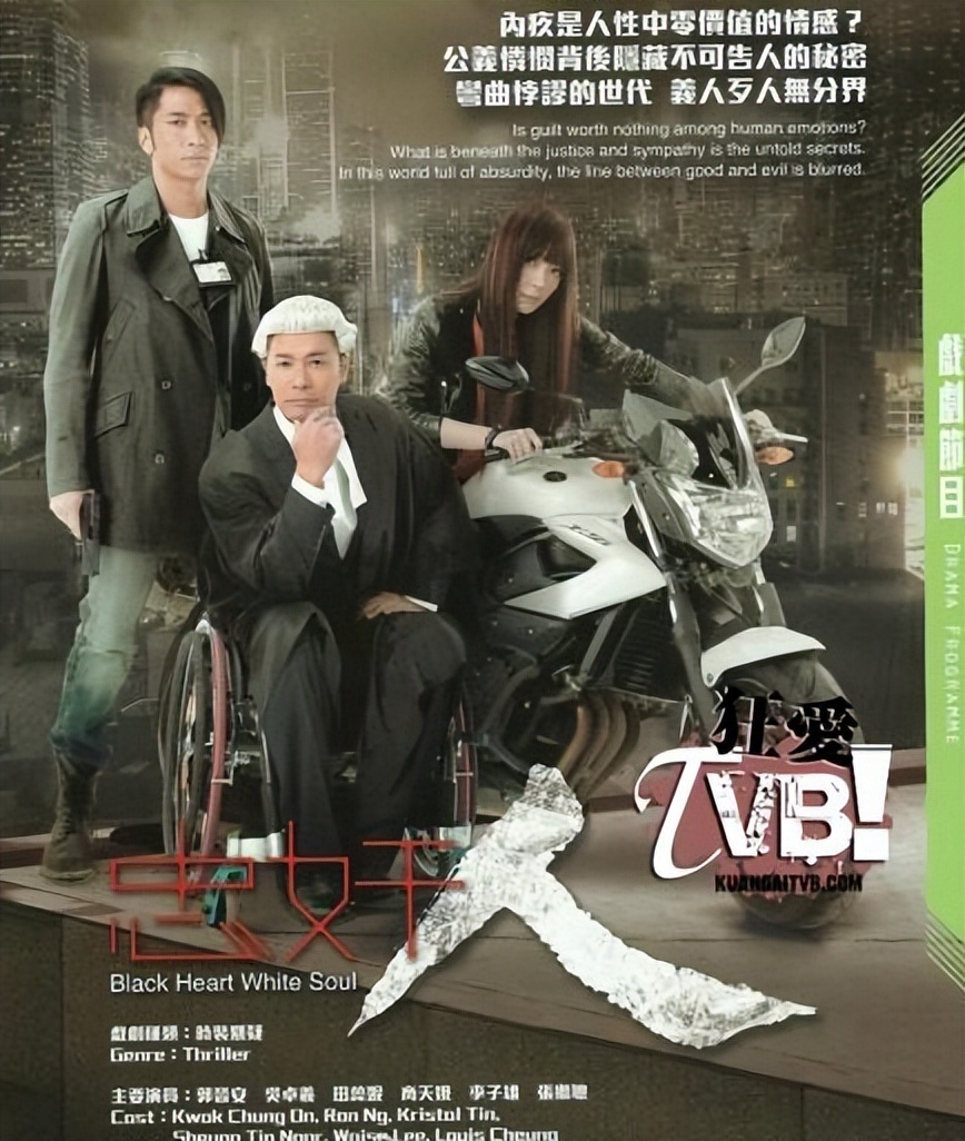 2013年郭晋安主演的tvb剧集,2009年tvb收视十强