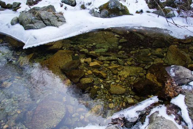 冬天寻访秦岭大峪，不但还有古道遗迹可循，还能见到这条野生广告