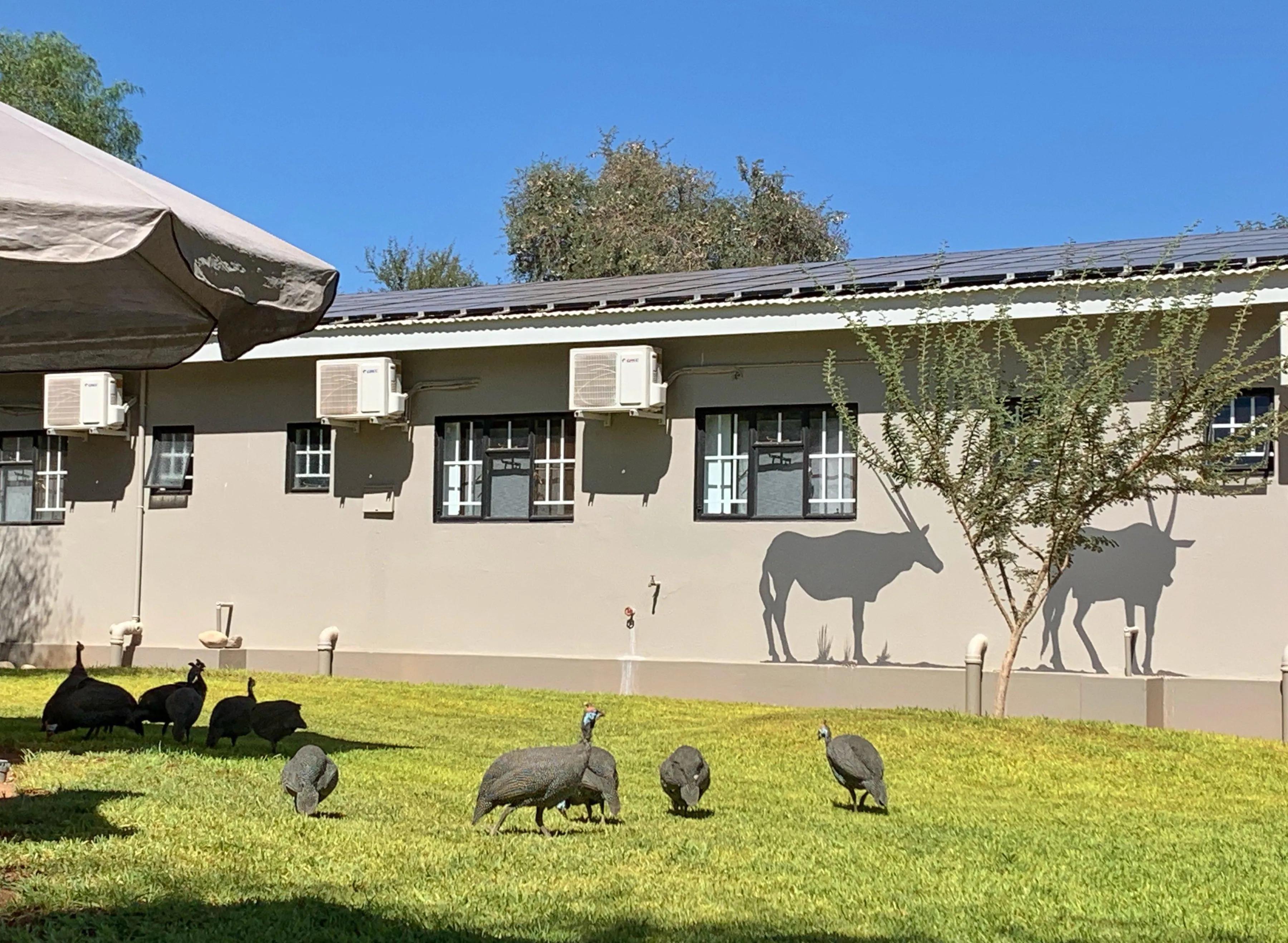 绾崇背姣斾簹绾㈣壊娌欐紶,绾崇背姣斾簹娌欐紶涔嬫梾