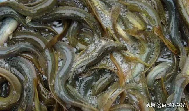 适合男人吃的十大食物,男人吃什么抗疲劳最好