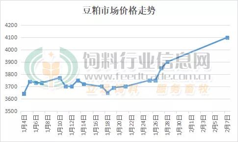 豆粕油脂行情走势,豆油豆粕菜油棕榈油菜粕行情