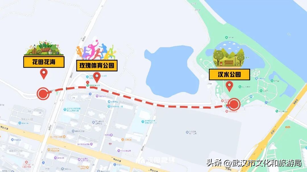 最美一公里，汉江南岸“红了”