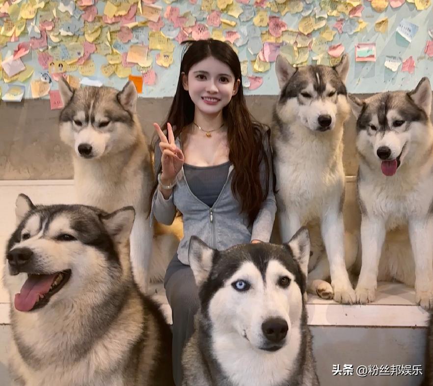 狗头萝莉煎饼摊在哪里开,狗头萝莉煎饼广州龙洞营业时间