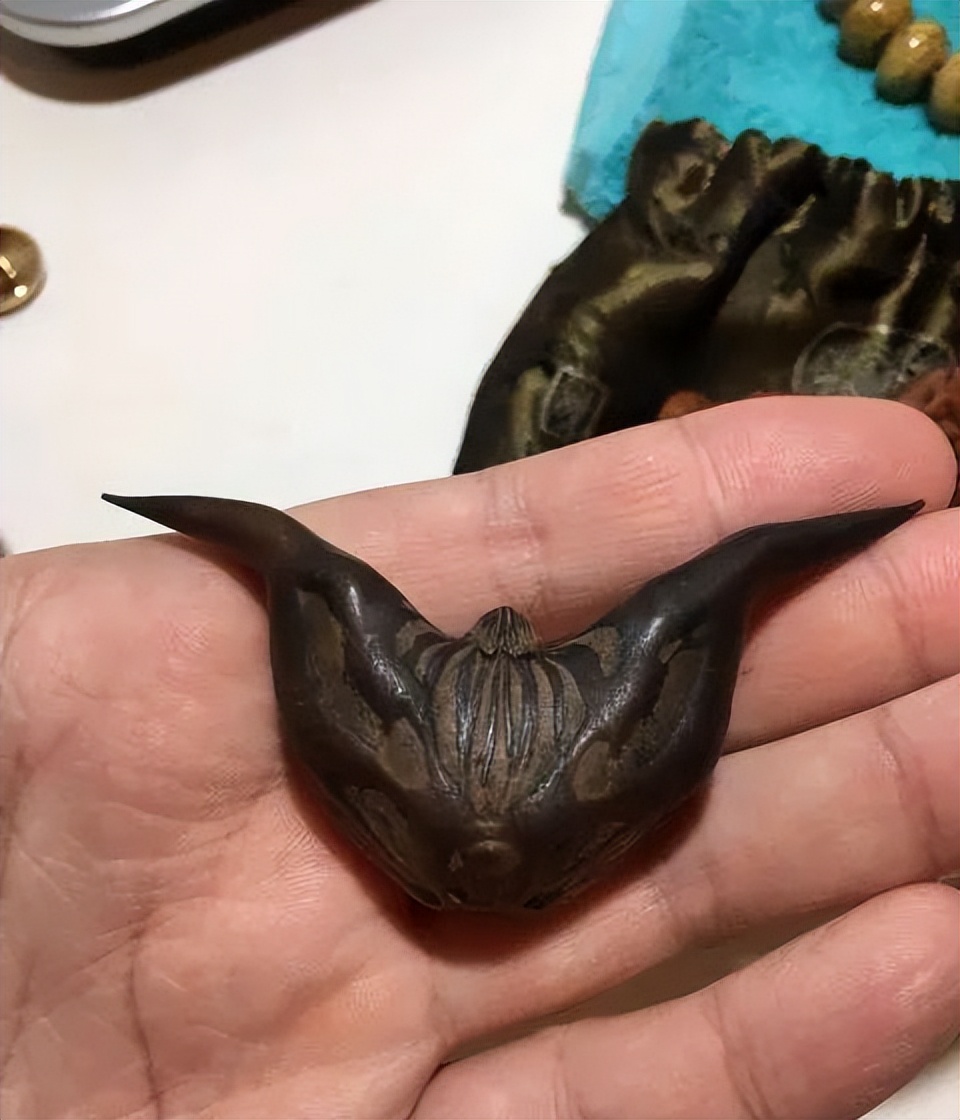 这届玩友已经“废”了，自制文玩之路越走越远，臭哄哄也能玩？