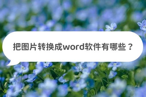 哪个软件可以把图片转换成word,把word转换成图片最简单的方法