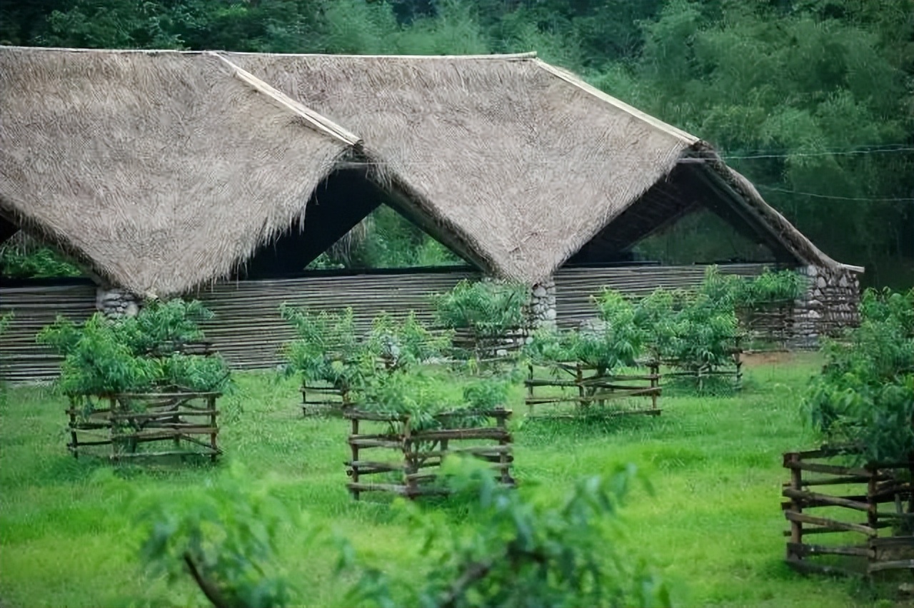 中国乡村改造项目,国内最成功的乡村改造案例