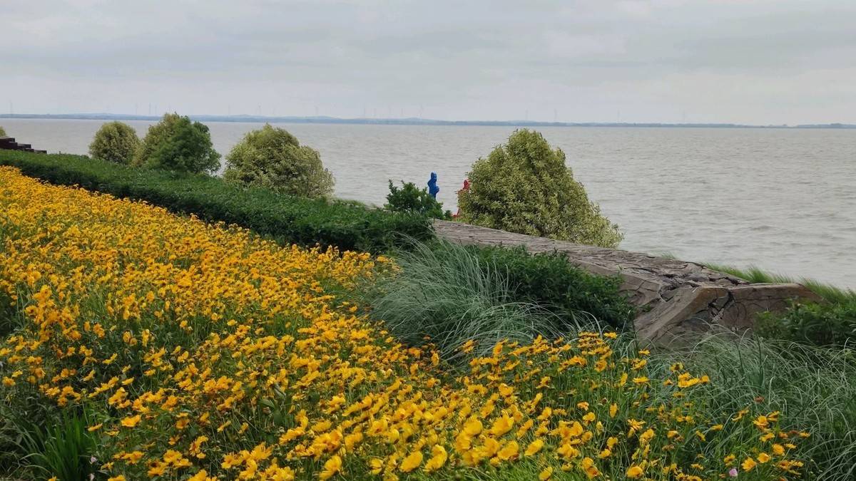 进淄赶烤一路飘香,进淄赶烤风雨无阻