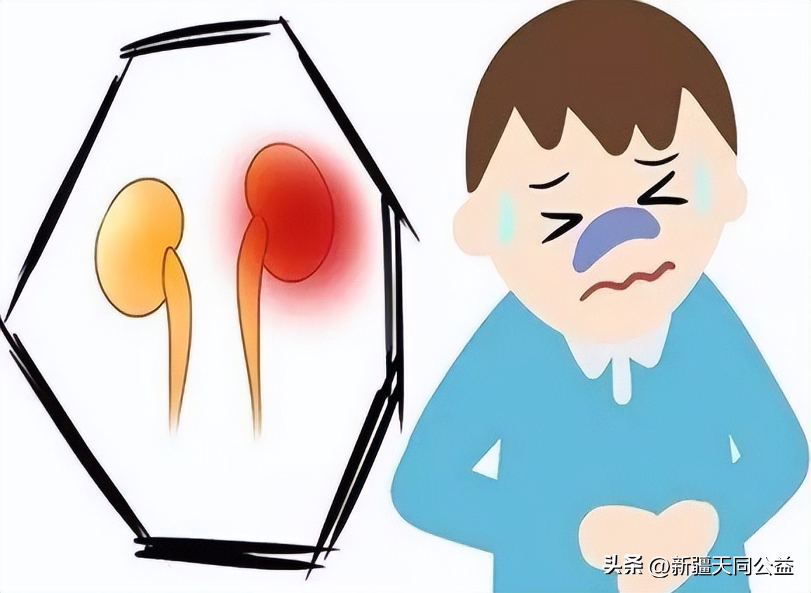 国产替诺福韦对肾功能损伤大吗,长期替诺福韦的效果