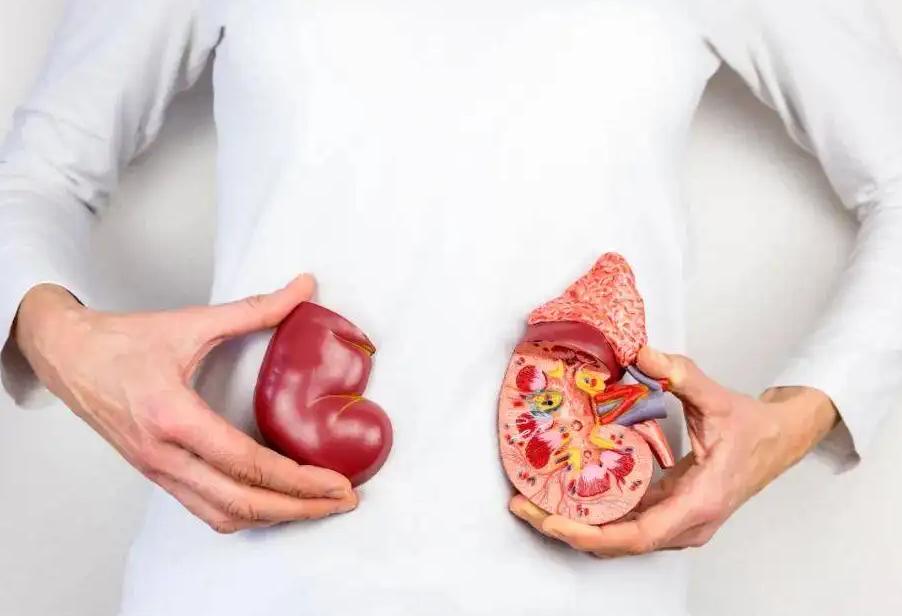 化疗死得更快为什么还要化疗,化疗已被医学界证明是错误的吗