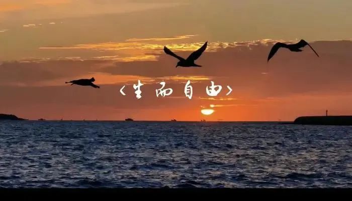 「原创诗词」黛影儿|既是人间虚己客，天地悠悠谁曾来