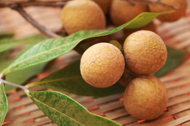 南方夏季推荐的水果有哪些,南方一年四季都要吃的水果