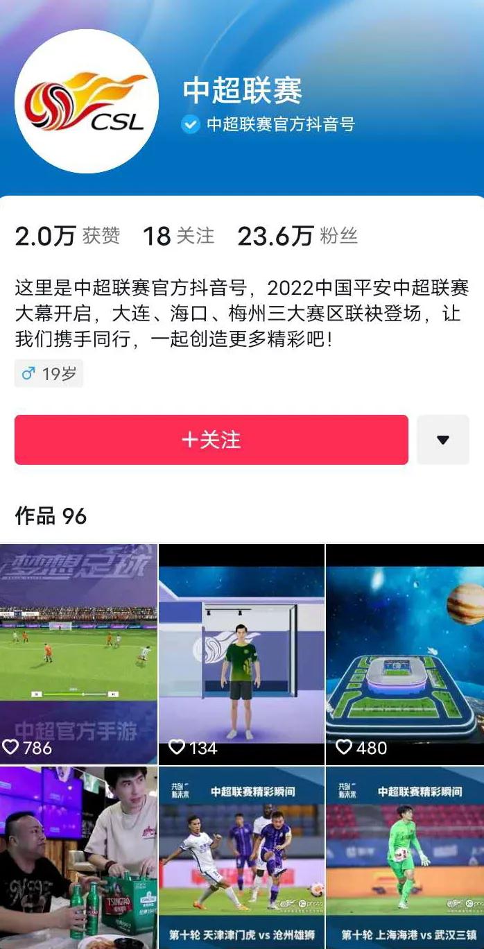 中国足协准入俱乐部,聚焦中国足协公布联赛准入名单