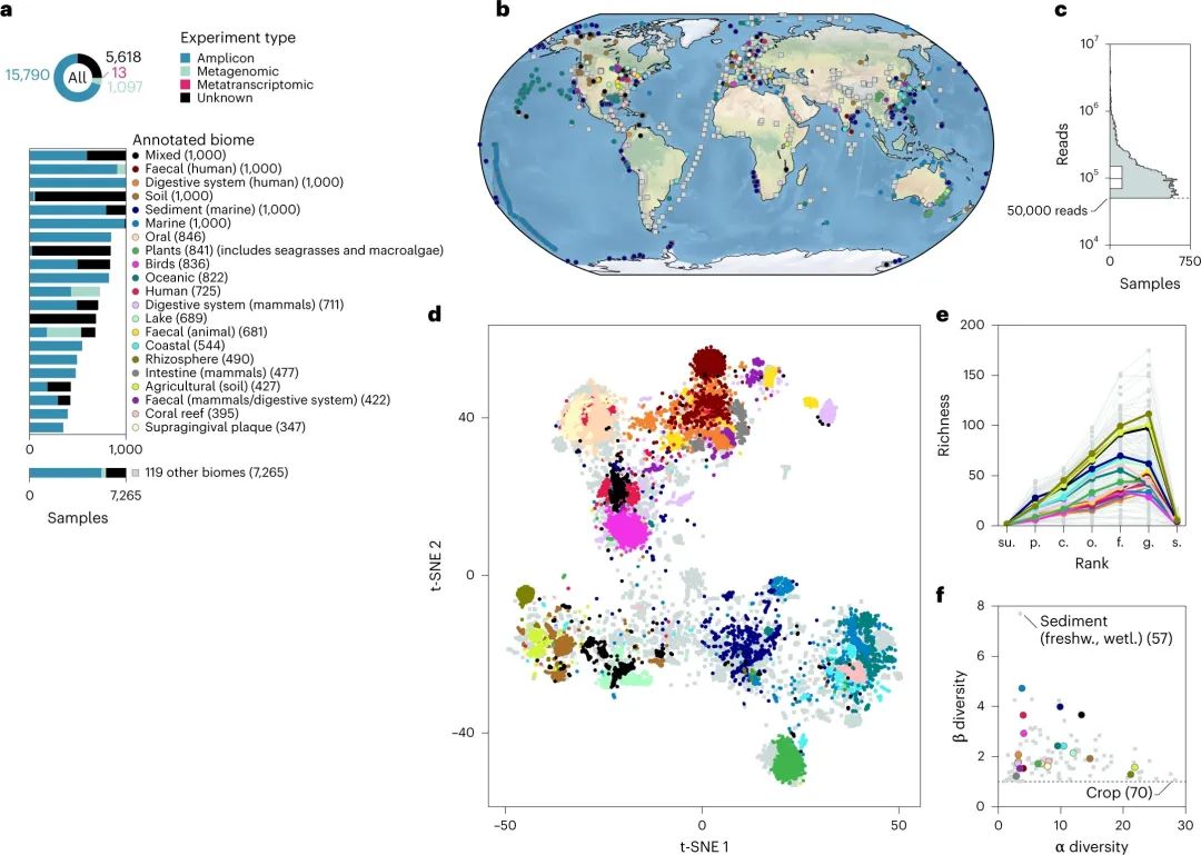 人体微生物分布于哪些位置,与人体共生的微生物
