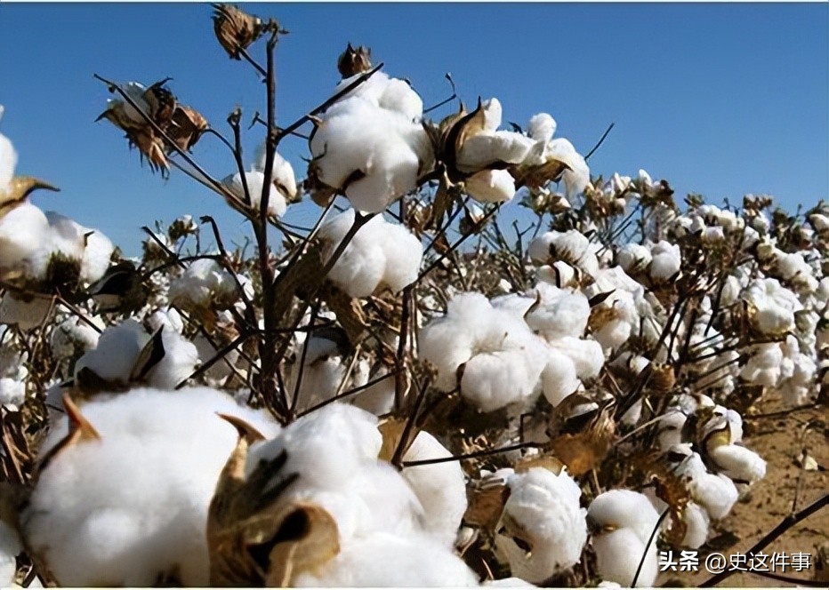 16岁女孩为养家三度卖血,16岁女孩为哥哥卖血上学山东
