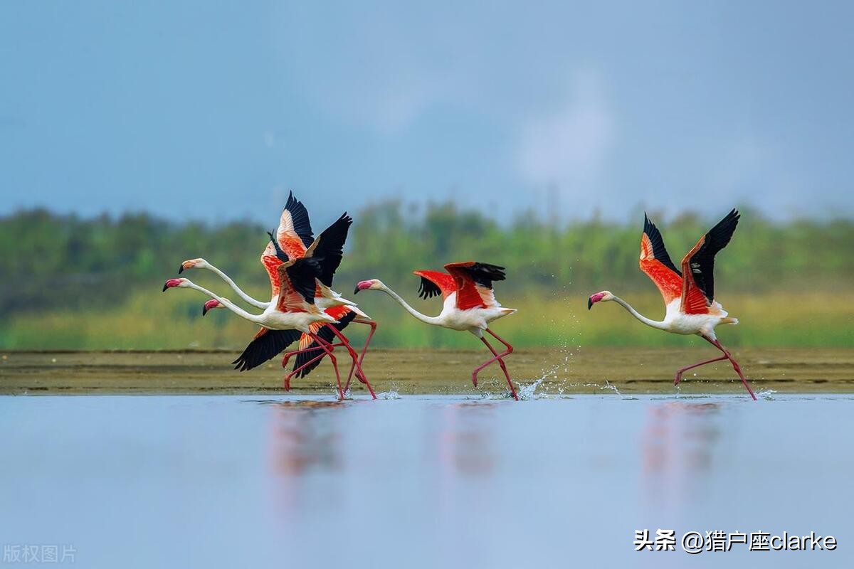 五种运动镜头的拍摄技巧,怎么拍出有力量感的动作