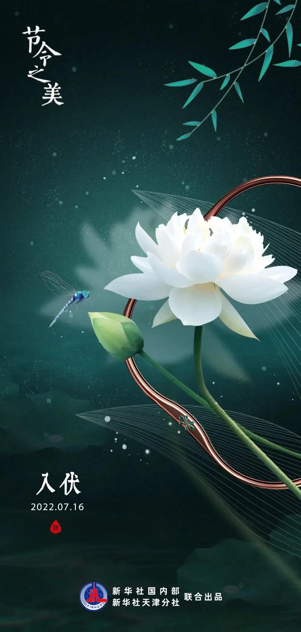 我家最爱的凉拌菜,拿手菜的做法凉拌菜