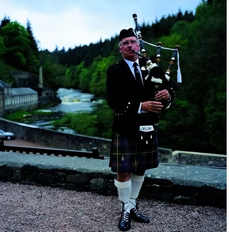 爱尔兰典型的传统乐器是竖琴,爱尔兰古代乐器