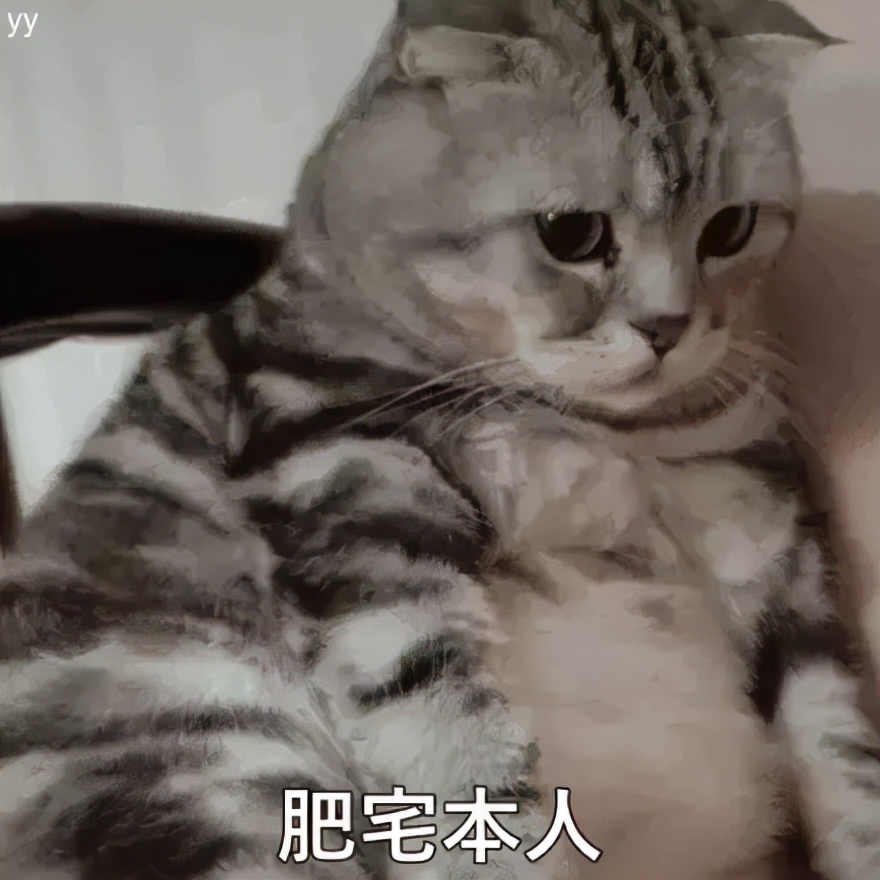 猫咪猫粮诱食剂是什么成分,怎样判断猫粮有没有诱食剂