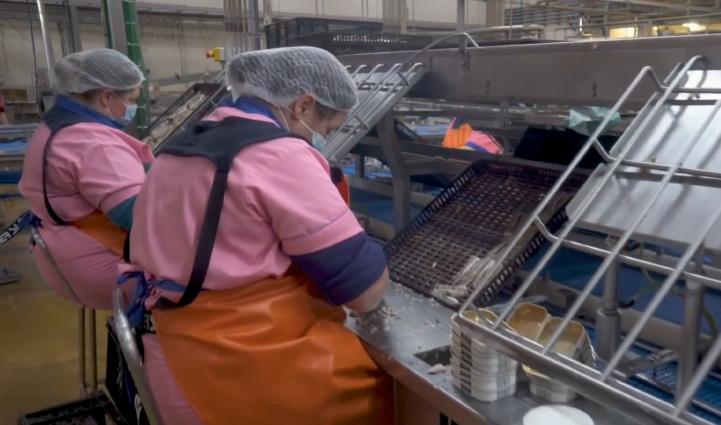 世界第一个马口铁罐头,世界第一家鱼肉罐头