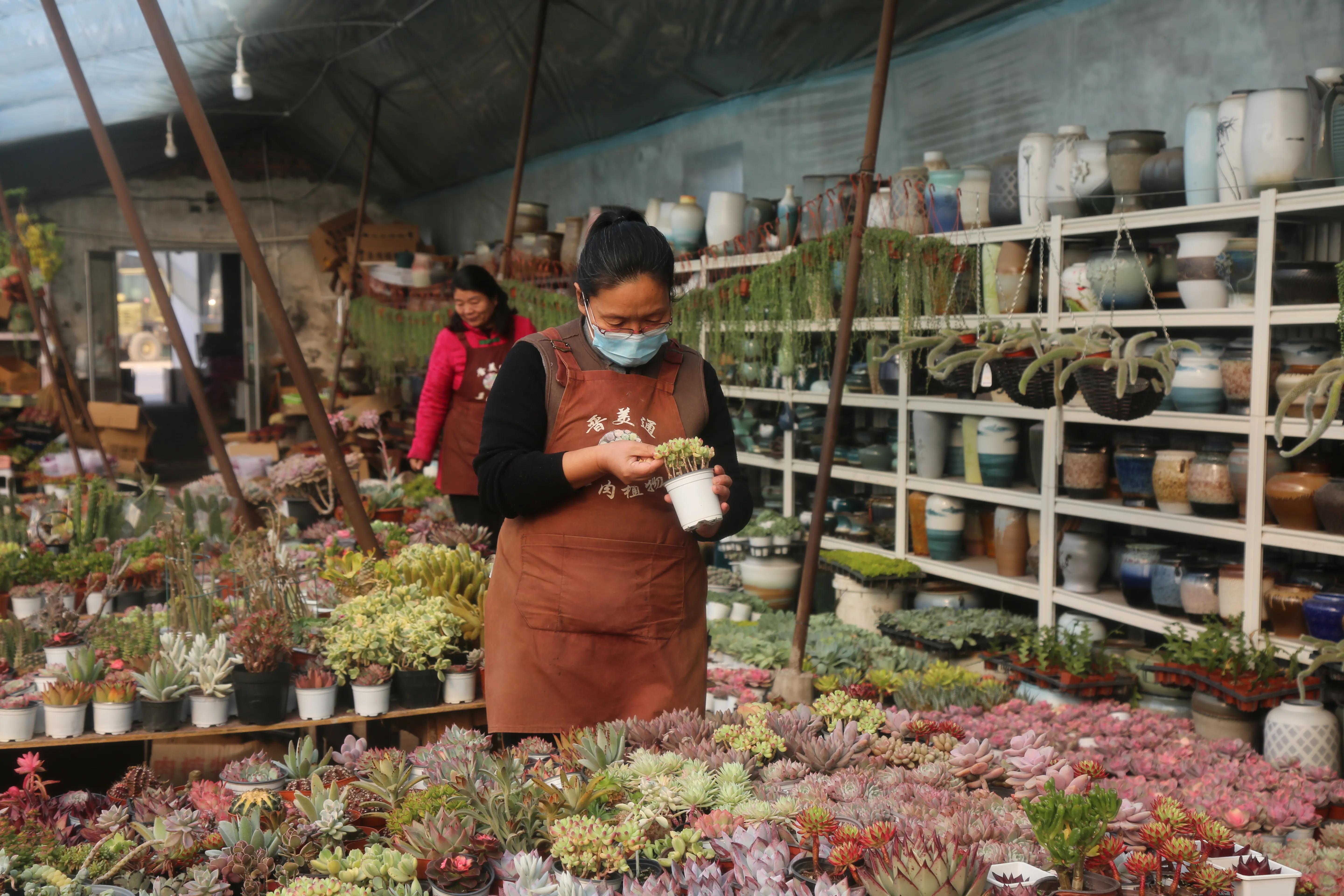 山西省最大的花卉市场在哪里,山西最大的花卉批发市场联系电话