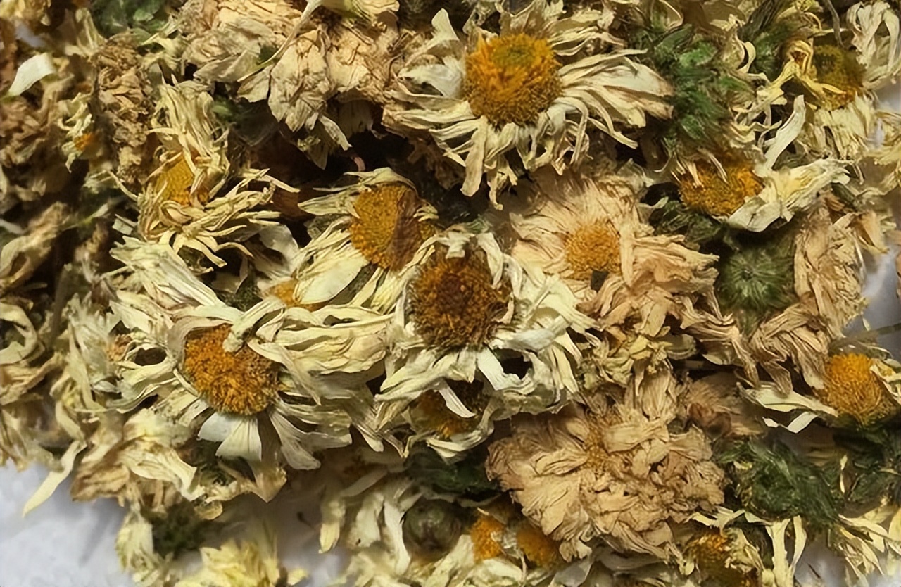 老年人喝什么菊花茶清热泻火好,中老年菊花茶