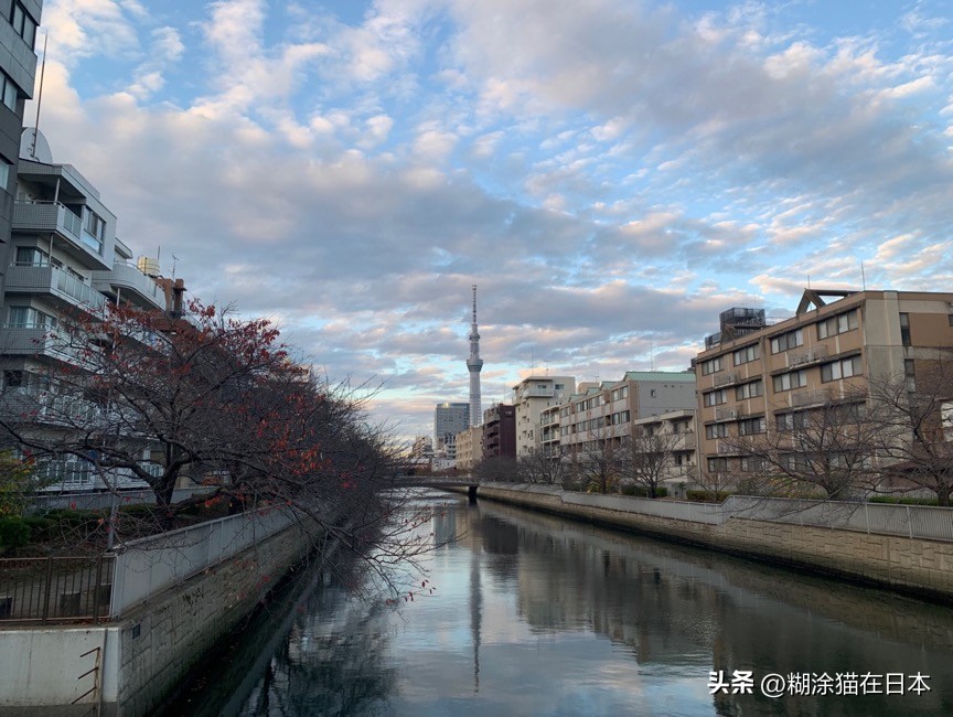 日本东京银座附近有渔具店吗,日本东京渔具店攻略