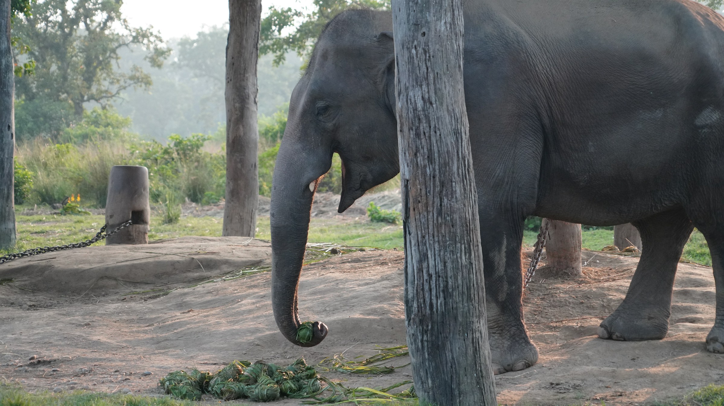 云中鹤游学,云中鹤户外