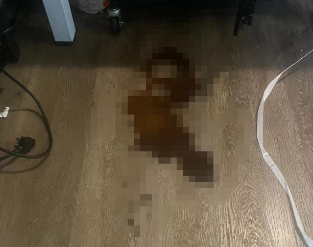 宠物医生，狗狗拉肚子，黑色的怎么办？