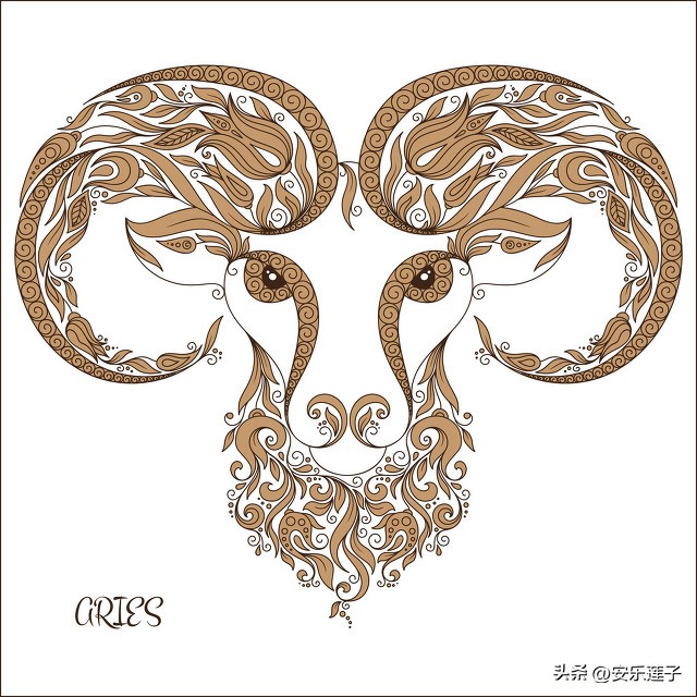 对摩羯座女生好的星座男生,摩羯座男生与十二星座女生