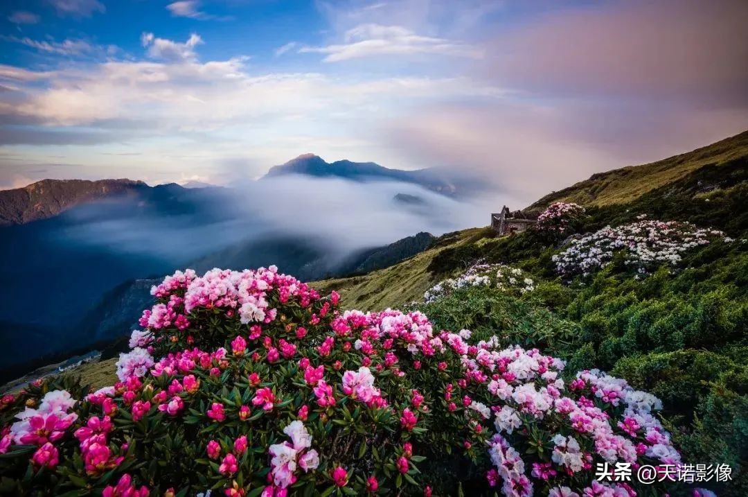 徕卡相机德味最浓的一款,徕卡德味相机有哪些