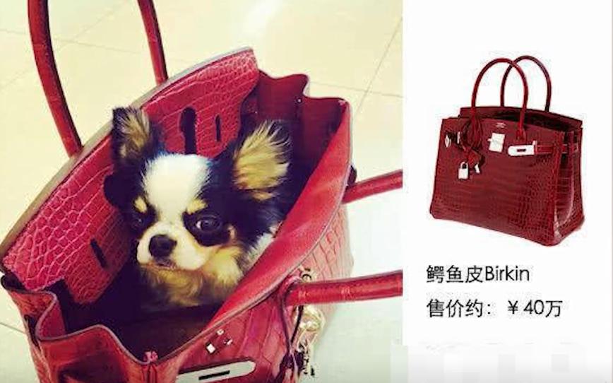 林心如一条项链三个亿,林心如一条项链3亿元