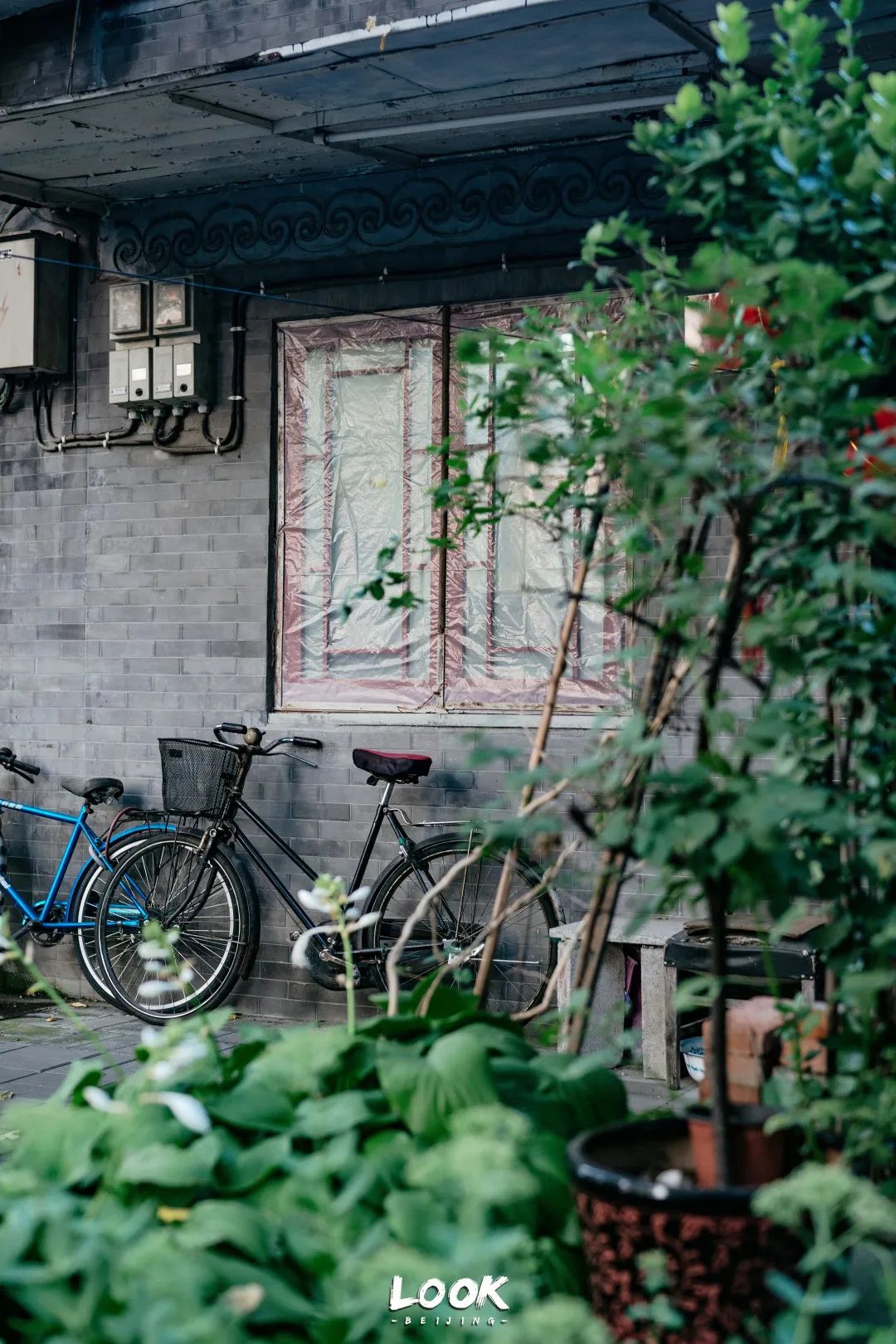 北京什刹海赏景的好地方,北京什刹海附近攻略