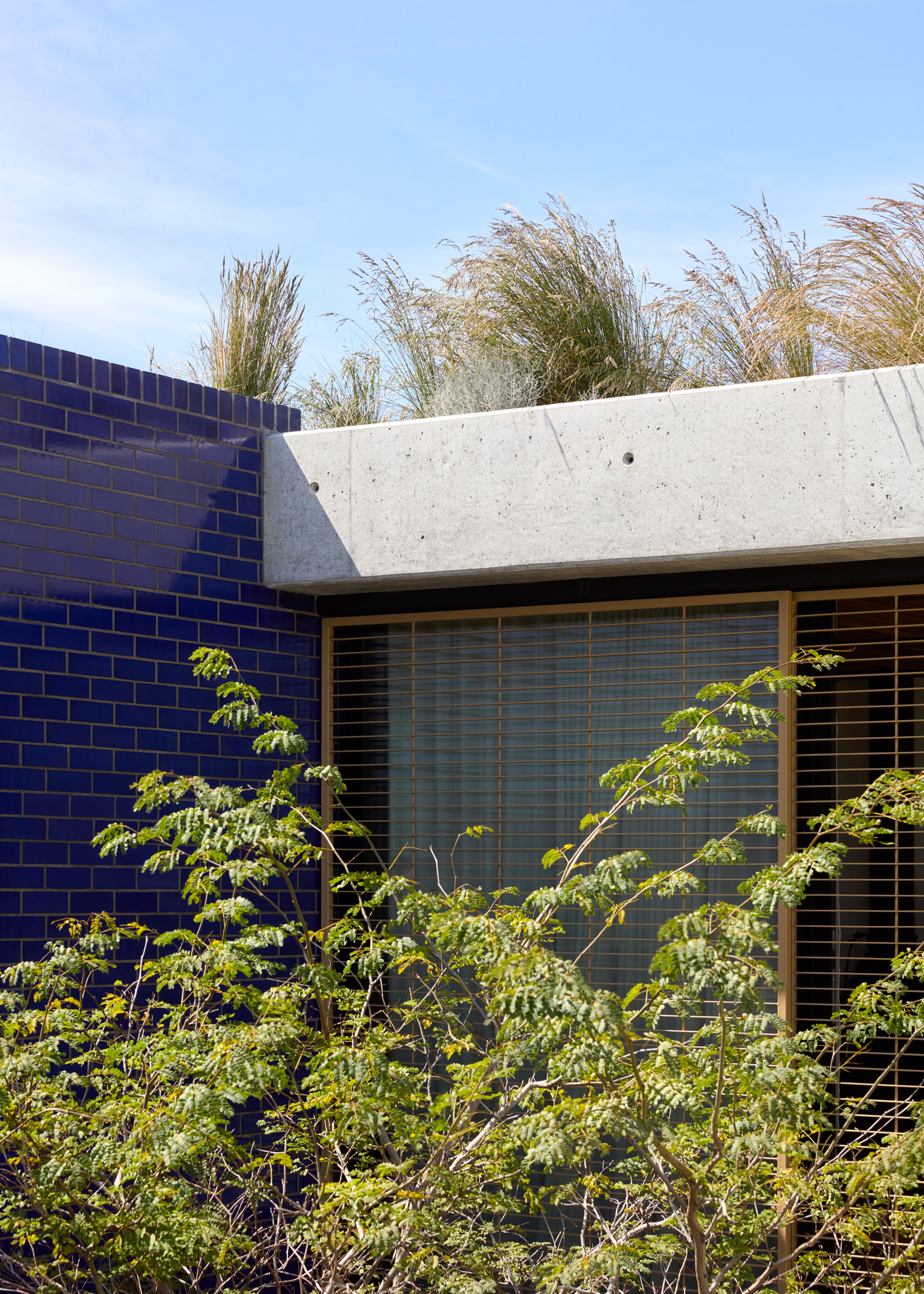 工作室漫游和IOTA：吉米的家