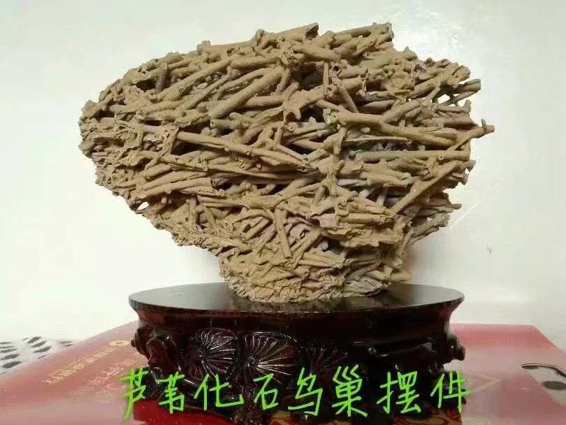 捡石头渐渐成为一种职业，挣钱吗？不少人发了