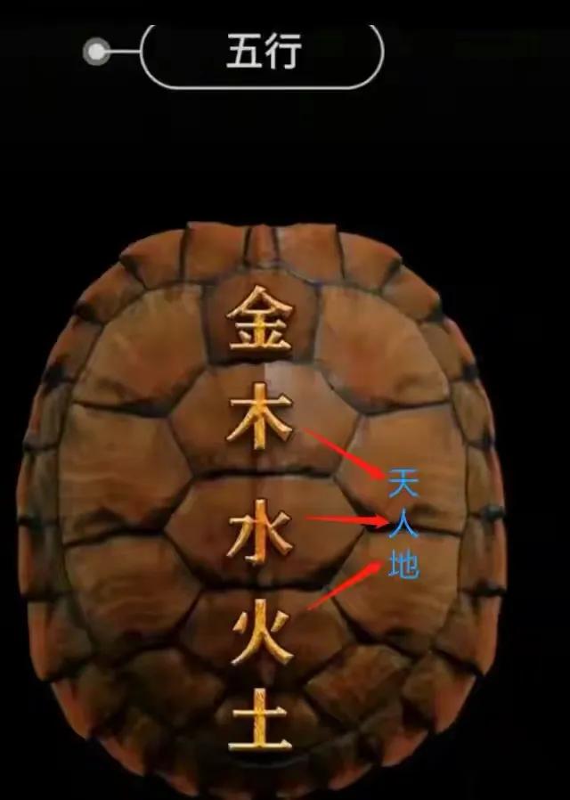 神奇的乌龟绘本故事,神奇的乌龟小视频