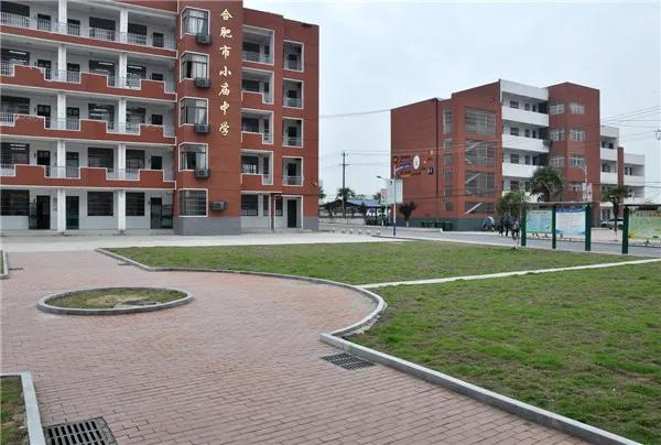 合肥中考生太难了！610读不了公办，650考不上5中，680走不了1中