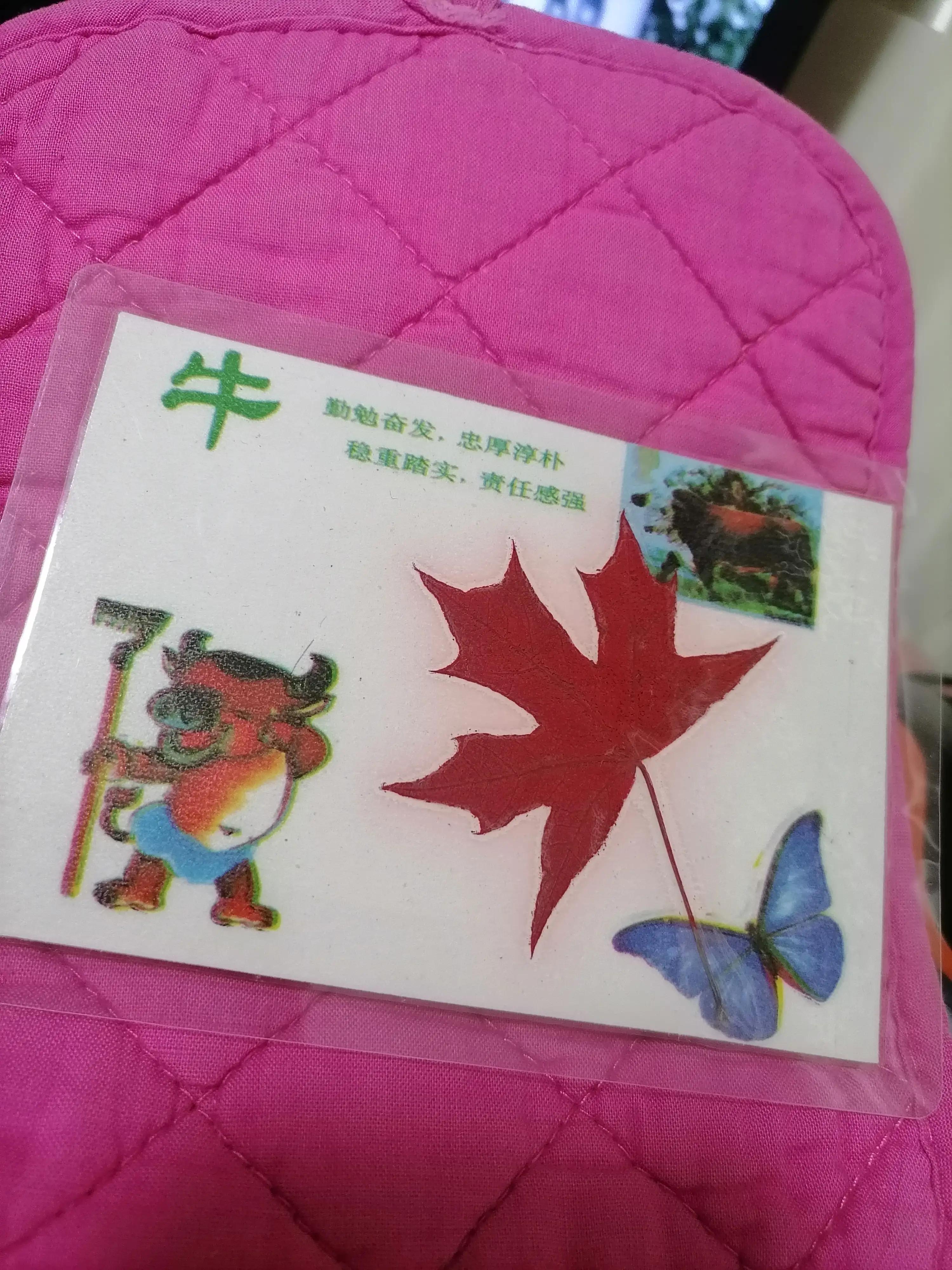 收藏景区纪念品有哪些品种,各地旅游最值得收藏的纪念品