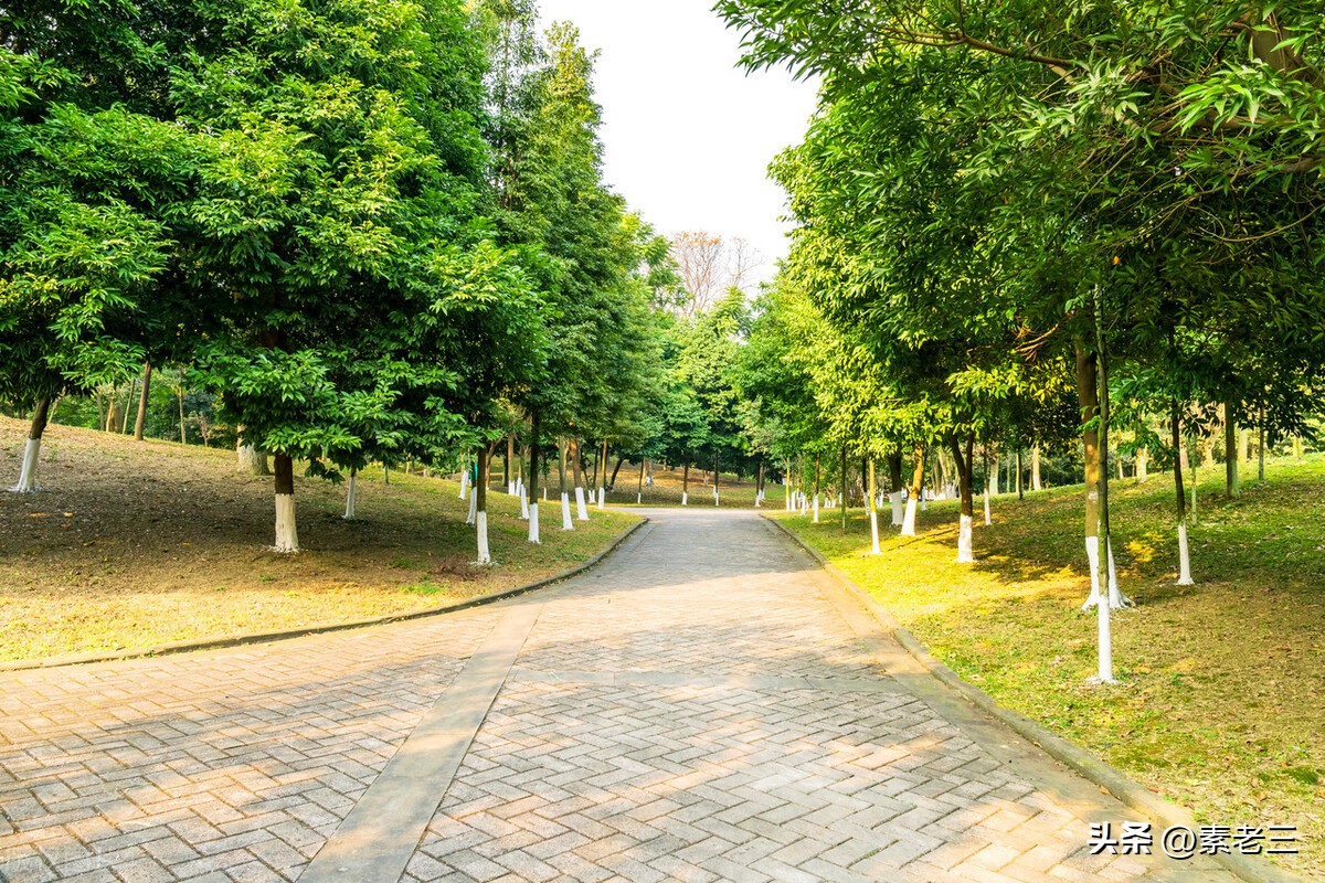 女作家去做保姆173,女作家去做保姆906