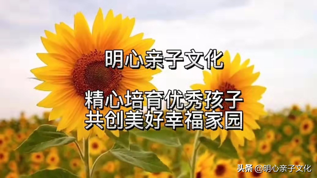 小学五年级小孩不写作业怎么教育,五年级小孩不愿意写作业