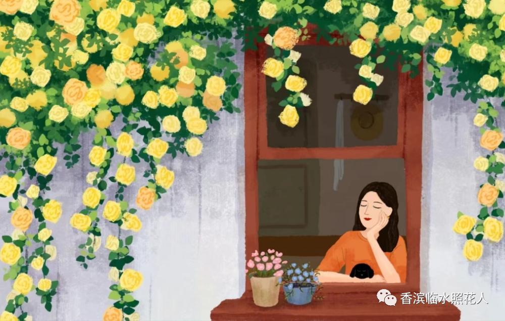 奋斗成就梦想作文500字以上,奋斗成就梦想作文一年级