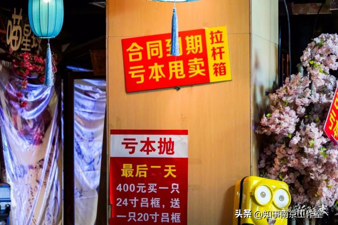 那一年，南京人曾经与莱迪，短暂说再见！